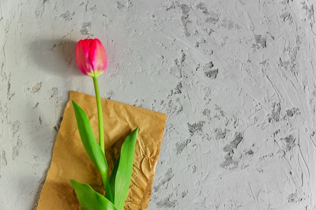 vista dall'alto di un tulipano rosso in fiore fresco su carta artigianale e sfondo grigio a consistenza Spazio di copia