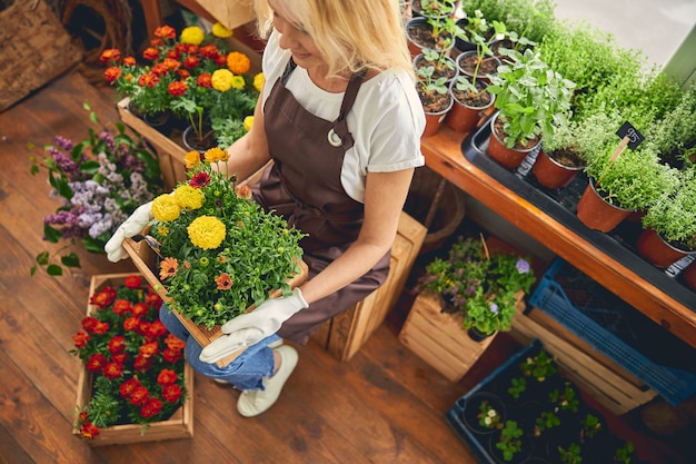 Vista dall'alto di una bionda sorridente moderna floricoltrice caucasica che guarda le piante ornamentali