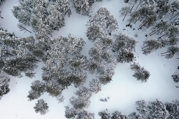 vista dall'alto di una foresta in inverno, paesaggio della natura in una foresta innevata, foto aerodinamica