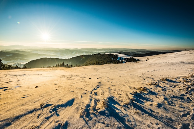 Vista dall'alto di una spaziosa pista da sci innevata