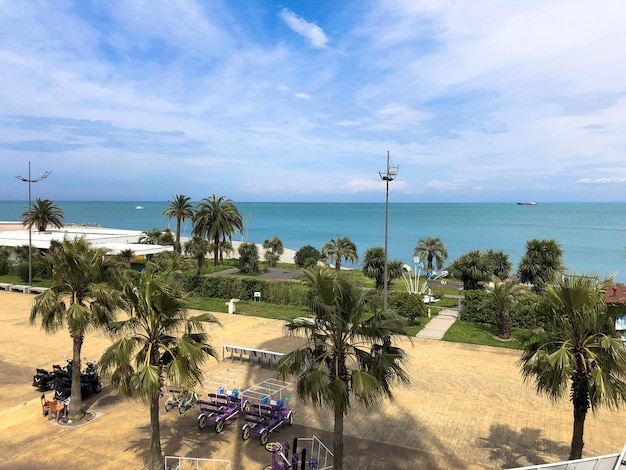 Vista dall'alto di una spiaggia sabbiosa con palme e biciclette verde sabbia in una calda estate tropicale