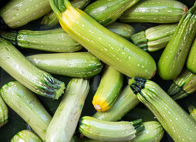 vista dall'alto di zucchine