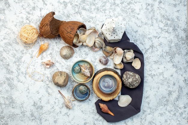 vista dall'alto diverse conchiglie con pietre su sfondo bianco colore shell posate acqua ocean design