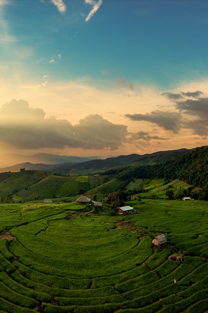 Vista dall&#39;alto e verticale dei campi terrazzati nel distretto di Mu Cang Chai, provincia di Yen Bai, Vietnam