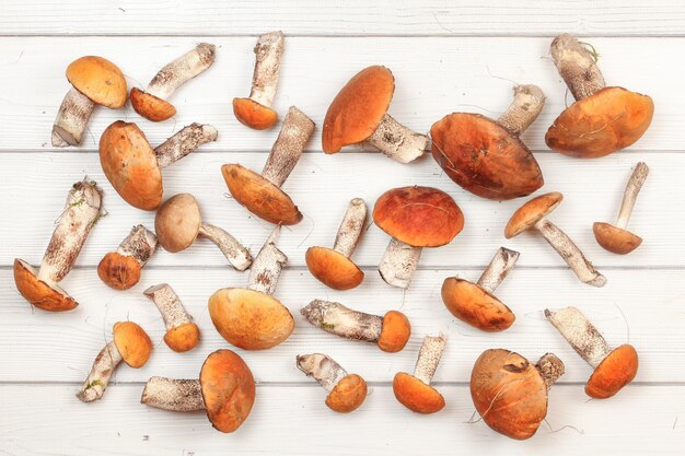 Vista dall'alto - funghi di bosco freschi raccolti, varietà a gambo scaber con cappuccio rosso (Leccinum aurantiacum / albostipitatum), su lavagna bianca