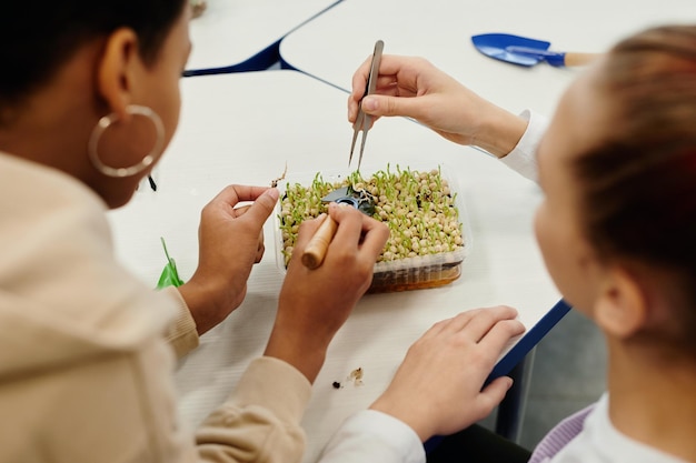 Vista dall'alto primo piano di due bambini che sperimentano piante in classe di biologia