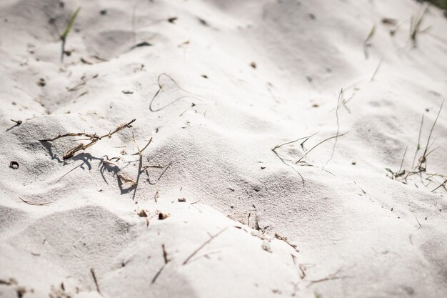 Vista dall'alto Sfocatura di sabbia sulla duna della spiaggia con macchie di erba secca ombre texture soft focus Sfondo per il web design wallpaper screensaver Luce foto tonica