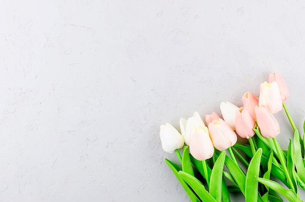 Vista dall'alto sul bellissimo bouquet di tulipani pastello su sfondo grigio cemento, concetto di primavera o vacanza, Pasqua o San Valentino, compleanno. Copia spazio, modello di biglietto di auguri mockup, posto per il testo,