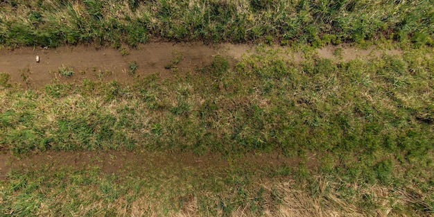 Vista dall'alto sulla consistenza della strada di ghiaia tra il campo di erba