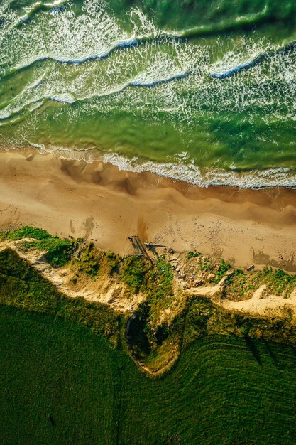 Vista dall'alto verticale di una spiaggia che viene spazzata via dalle onde di un mare vicino a una foresta