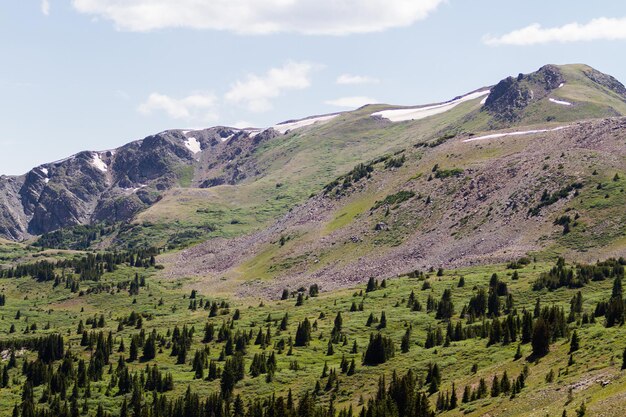 Vista dalla cima del Cottonwood Pass, Colorado.