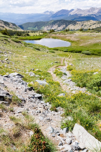 Vista dalla cima del Cottonwood Pass, Colorado.