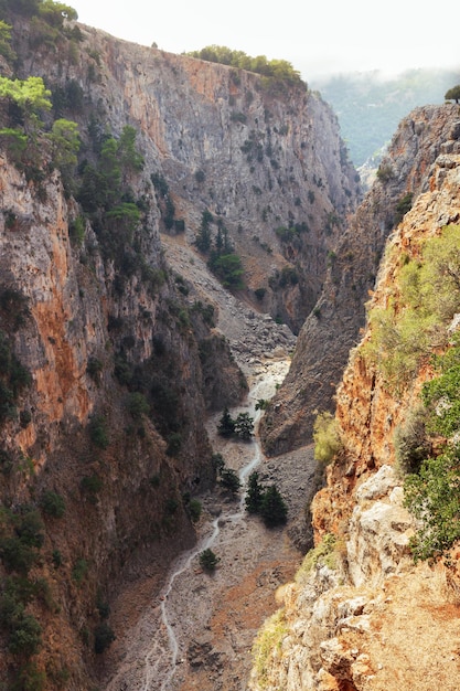 Vista dalla cima di una stretta e profonda gola di montagna con pareti in pietra a strapiombo e cespugli rari, Aradena Gorge