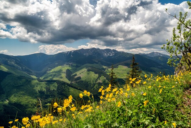Vista dalla collina Ohniste nei Bassi Tatra in Slovacchia