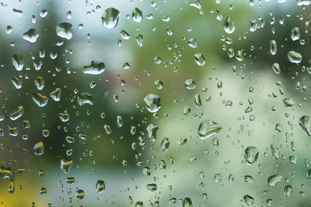 Vista dalla finestra durante la pioggia