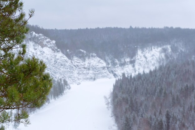 Vista dalla scogliera alla valle boscosa innevata del fiume congelato d'inverno