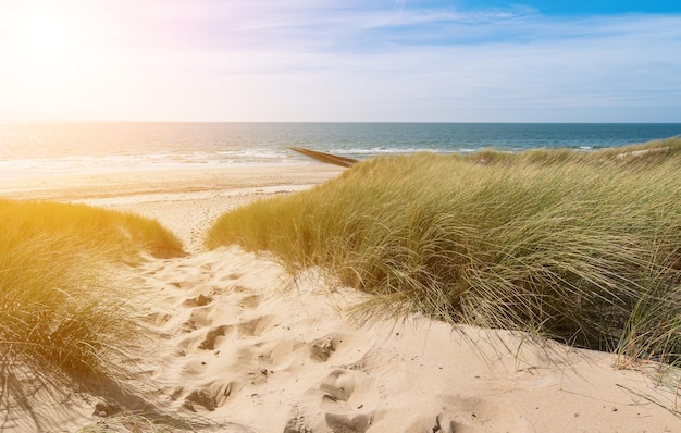 Vista dalle dune all'oceano a Renesse, Domburg, Zelanda, Olanda