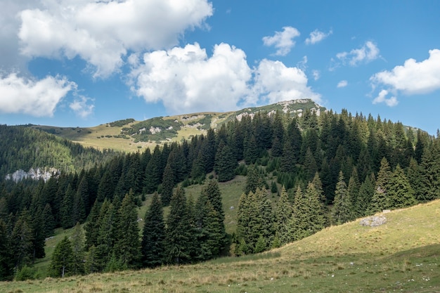 Vista dalle montagne Bucegi, Romania, Bucegi National Park