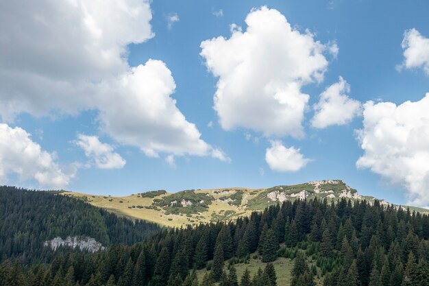 Vista dalle montagne Bucegi, Romania, Bucegi National Park