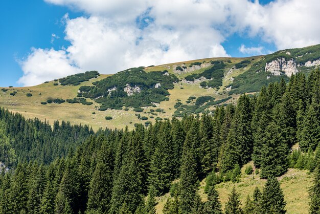 Vista dalle montagne di Bucegi, Romania, parco nazionale di Bucegi