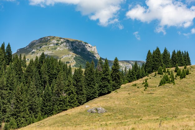 Vista dalle montagne di Bucegi, Romania, parco nazionale di Bucegi