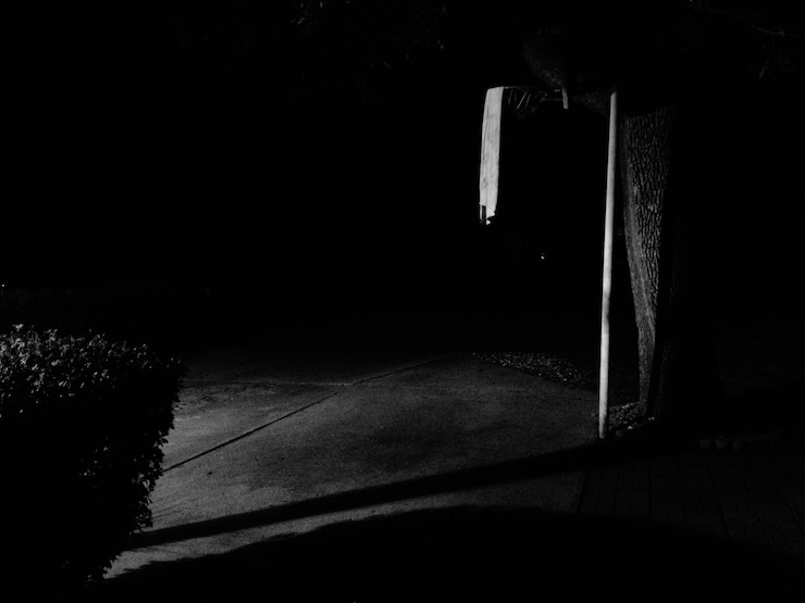 Foto vista degli alberi di notte