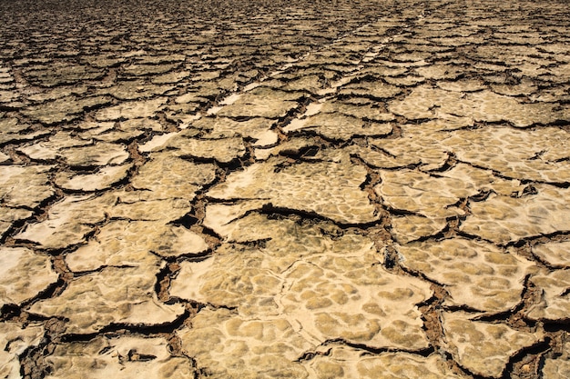 Vista degli stagni di evaporazione del sale a Secovlje