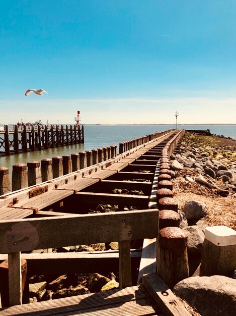 Vista degli uccelli sulla spiaggia contro il cielo