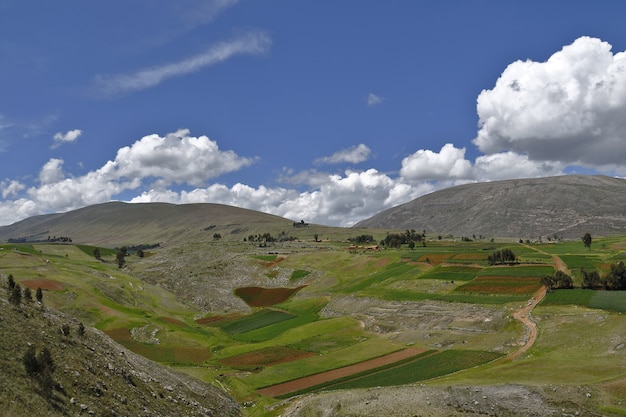 vista dei campi agricoli nelle Ande centrali