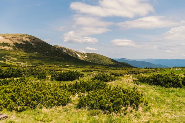 Vista dei Carpazi ucraini. Foto della natura e delle montagne estive