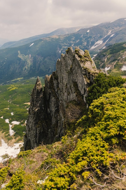 Vista dei Carpazi ucraini. Foto della natura e delle montagne estive