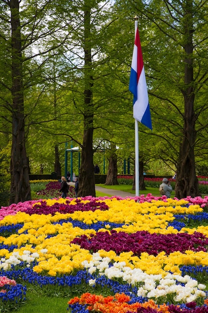 Vista dei fiori nel parco