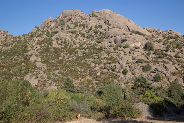 Vista dei picchi a Pedriza a Madrid, Spagna