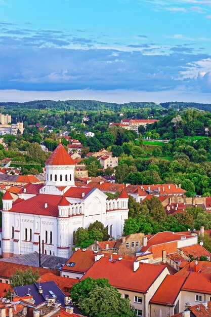 Vista dei tetti sulla Cattedrale della Theotokos e sulla città vecchia di Vilnius, Lituania