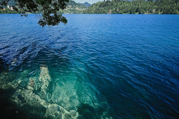 Vista del bellissimo lago di Bled Slovenia
