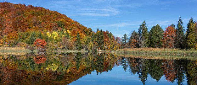 Vista del bellissimo lago nel Parco Nazionale di Plitvice, Croazia