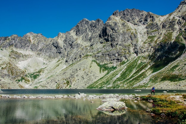 Vista del bellissimo lago nelle montagne di estate