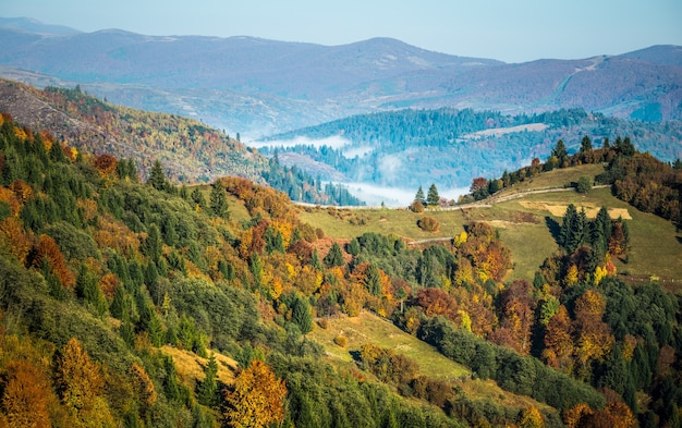 Vista del bellissimo paesaggio in prato collinare con un luminoso sole nascente