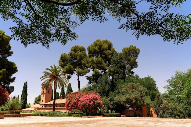 Vista del bellissimo parco con alberi tropicali, palme, fiori contro il cielo blu. Natura meravigliosa