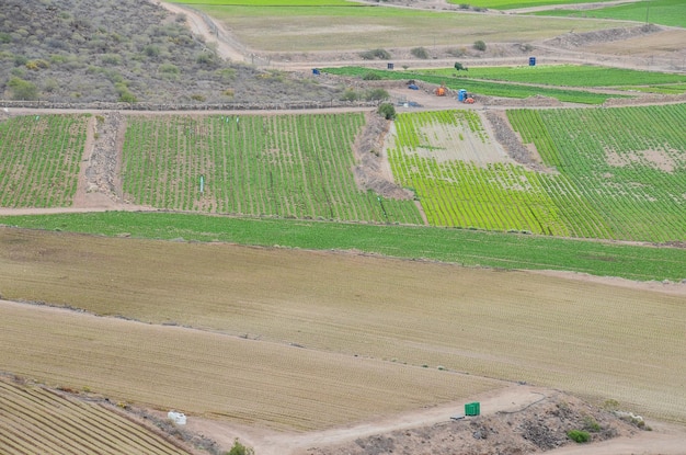 Vista del campo coltivato