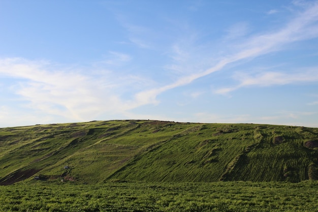 Vista del campo contro il cielo