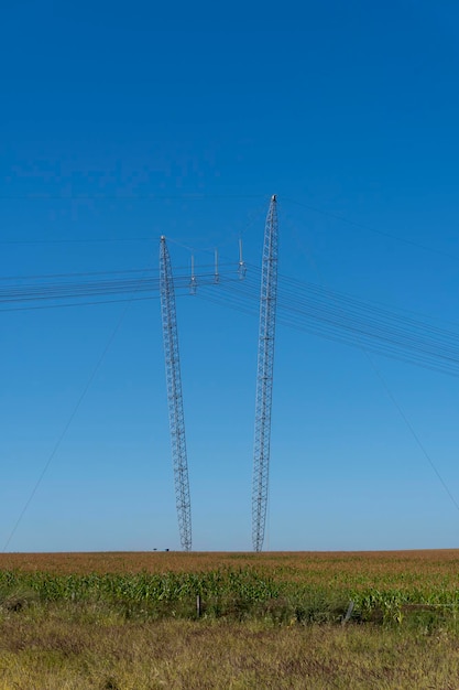 Vista del campo di piantagione in una giornata di cielo blu con torri di rete elettrica sullo sfondo