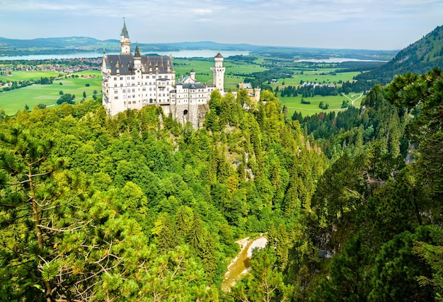 Vista del castello di neuschwanstein in baviera sud-occidentale germania