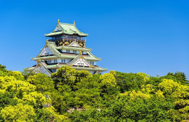 Vista del Castello di Osaka a Osaka, in Giappone