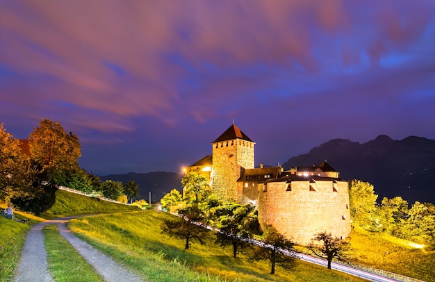 Vista del castello di Vaduz nel Liechtenstein durante la notte