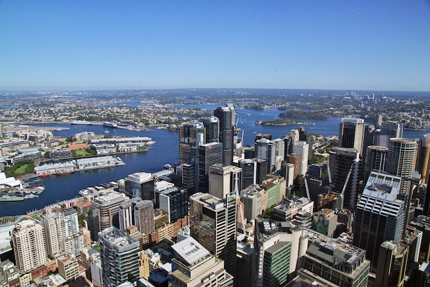 Vista del centro di Sydney dalla torre