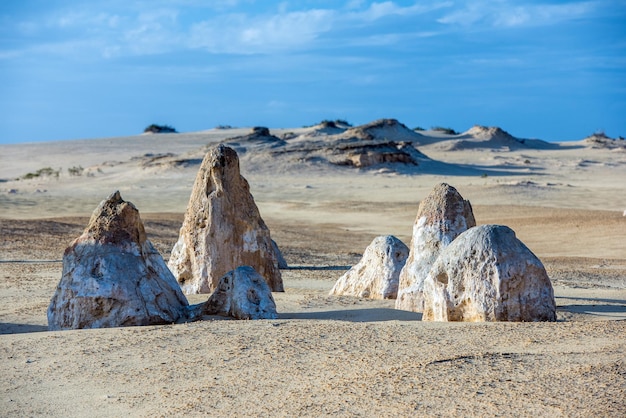 Vista del deserto del parco dei pinnacoli nell'Australia occidentale