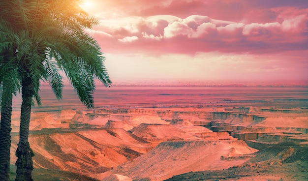 Vista del deserto e del Giordano nella zona del Mar Morto vicino alla fortezza di Masada