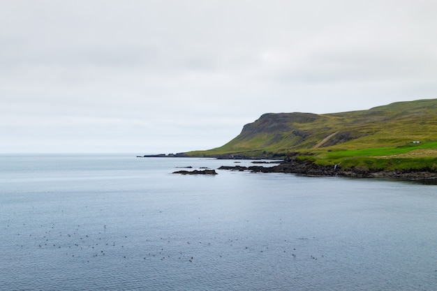 Vista del fiordo di Borgarfjordur, Islanda orientale. Paesaggio islandese