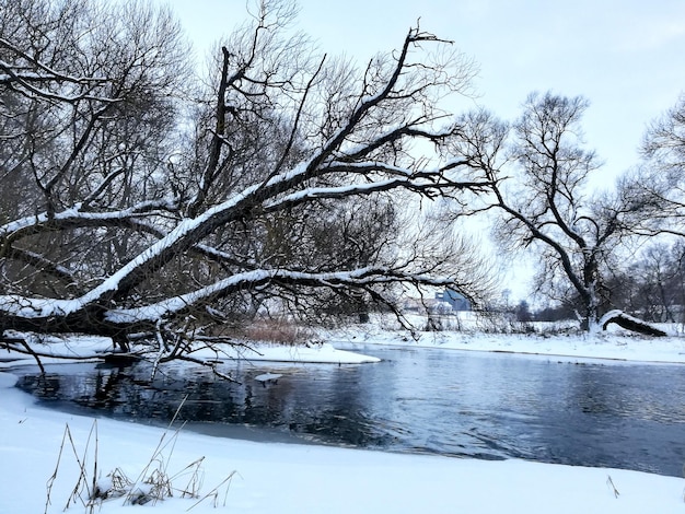 Vista del fiume dal ponte in inverno. Alberi coperti di neve. Luminosa giornata di sole con cielo blu.